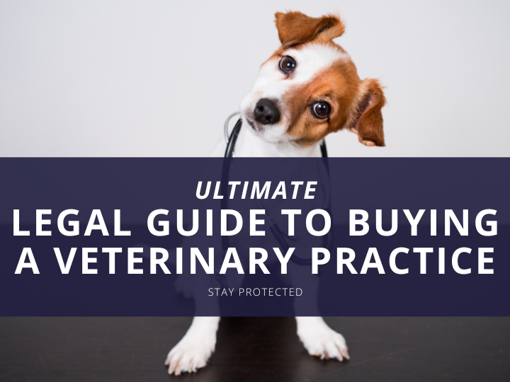 Buying A Veterinary Practice